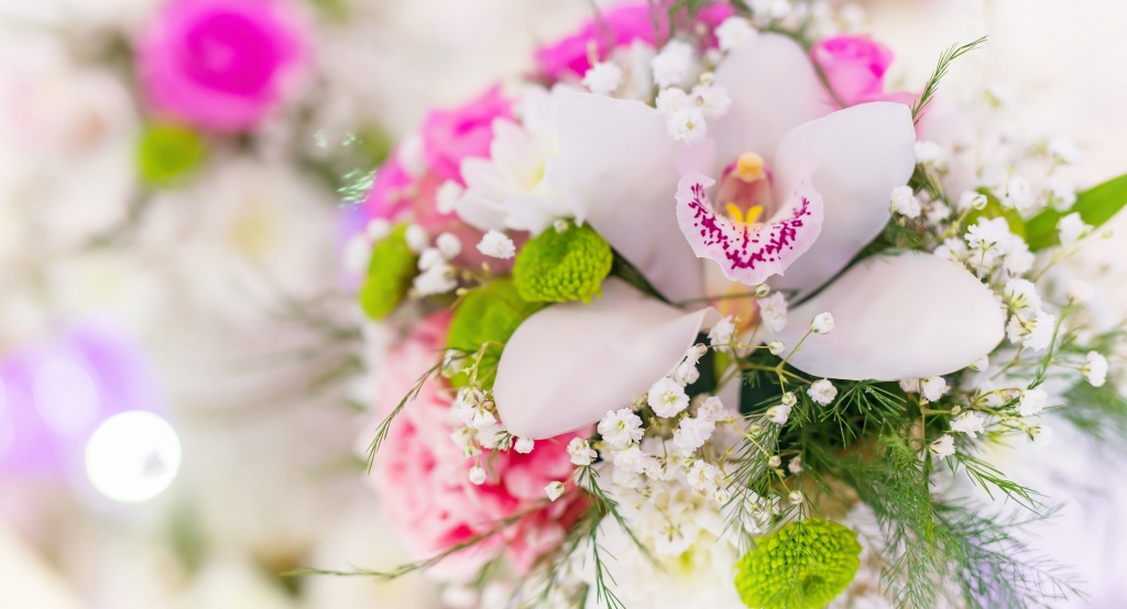shutterstock_269230739a-min.jpg shutterstock_269230739a-min.jpg